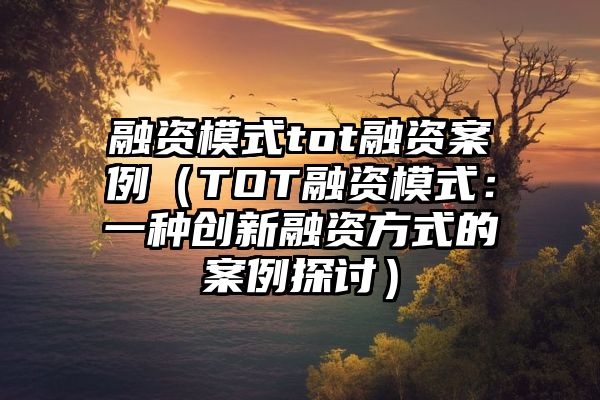 融资模式tot融资案例（TOT融资模式：一种创新融资方式的案例探讨）