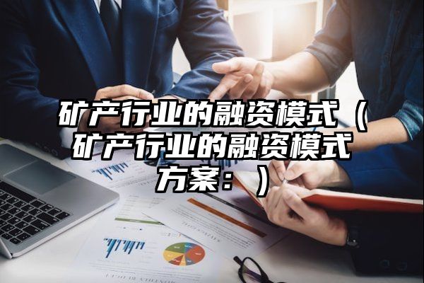 矿产行业的融资模式（矿产行业的融资模式方案：）