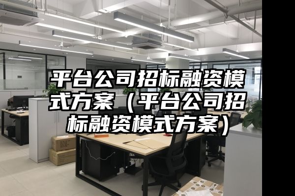 平台公司招标融资模式方案（平台公司招标融资模式方案）