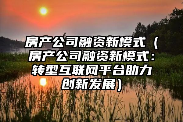 房产公司融资新模式（房产公司融资新模式：转型互联网平台助力创新发展）