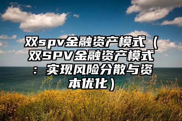 双spv金融资产模式（双SPV金融资产模式：实现风险分散与资本优化）