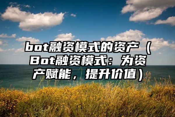 bot融资模式的资产（Bot融资模式：为资产赋能，提升价值）