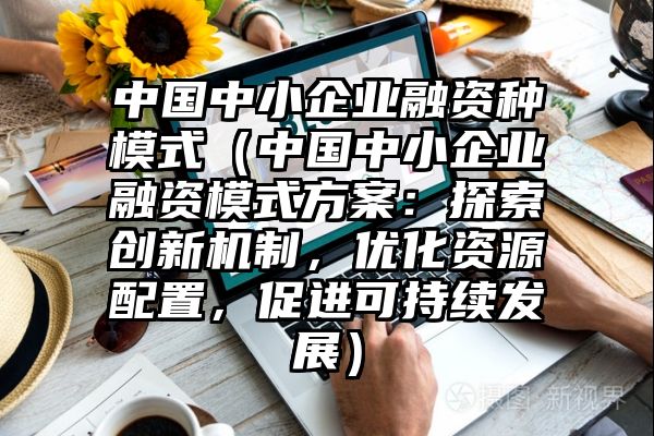 中国中小企业融资种模式（中国中小企业融资模式方案：探索创新机制，优化资源配置，促进可持续发展）