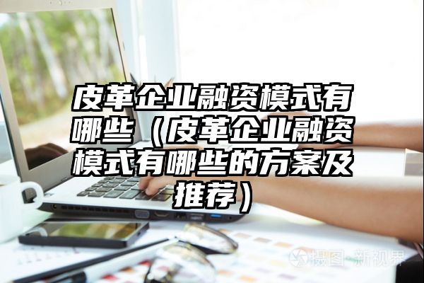 皮革企业融资模式有哪些（皮革企业融资模式有哪些的方案及推荐）