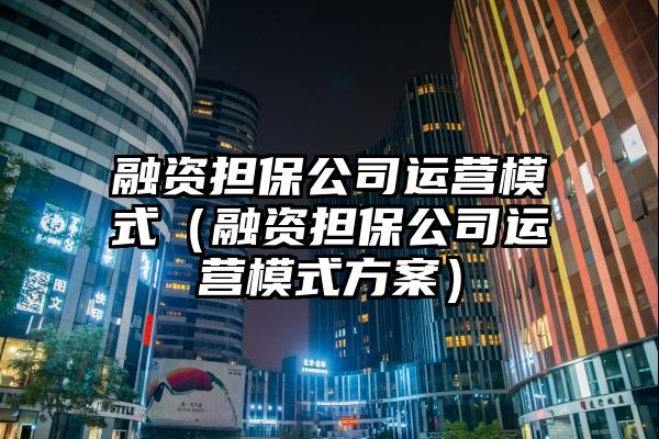 融资担保公司运营模式（融资担保公司运营模式方案）