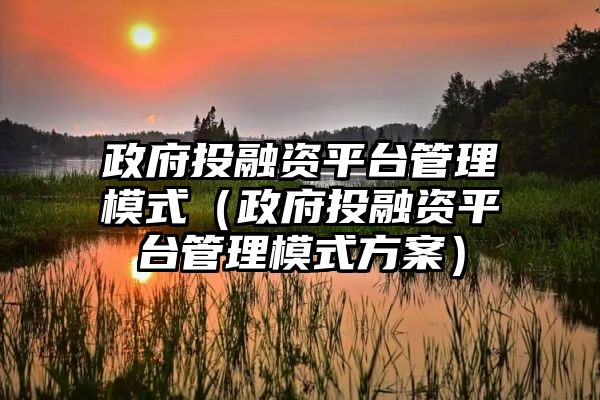 政府投融资平台管理模式（政府投融资平台管理模式方案）