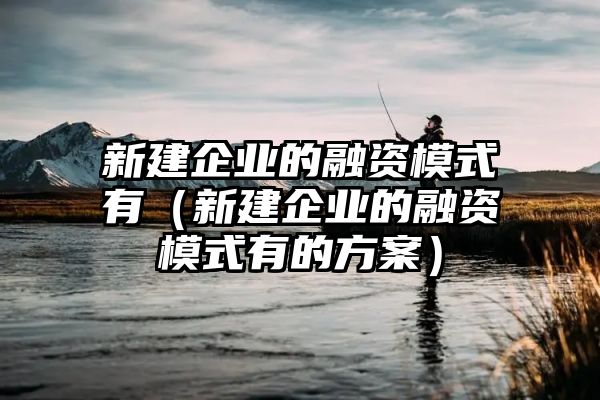 新建企业的融资模式有（新建企业的融资模式有的方案）