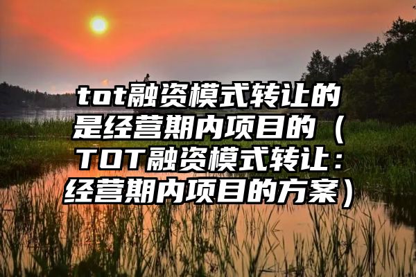 tot融资模式转让的是经营期内项目的（TOT融资模式转让：经营期内项目的方案）