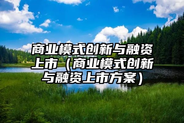 商业模式创新与融资上市（商业模式创新与融资上市方案）