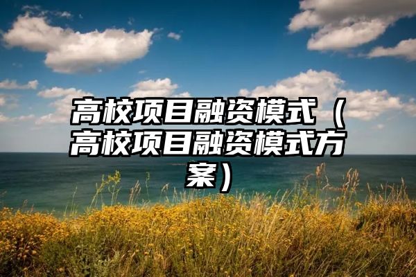 高校项目融资模式（高校项目融资模式方案）