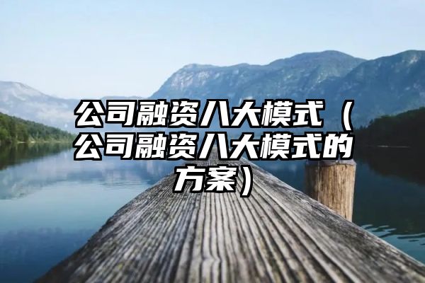 公司融资八大模式（公司融资八大模式的方案）