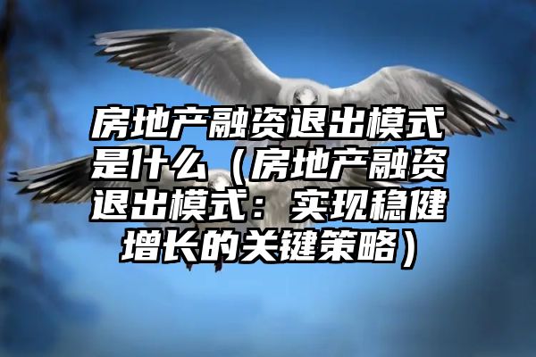 房地产融资退出模式是什么（房地产融资退出模式：实现稳健增长的关键策略）