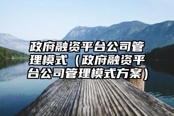 政府融资平台公司管理模式（政府融资平台公司管理模式方案）