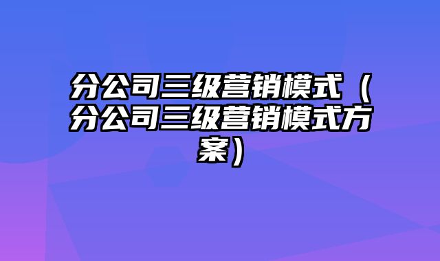 分公司三级营销模式（分公司三级营销模式方案）