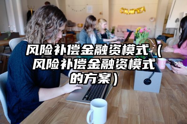 风险补偿金融资模式（风险补偿金融资模式的方案）