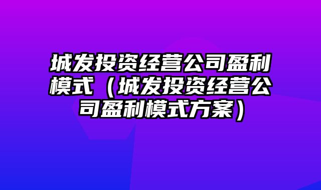 城发投资经营公司盈利模式（城发投资经营公司盈利模式方案）