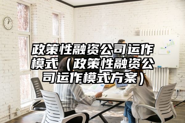 政策性融资公司运作模式（政策性融资公司运作模式方案）