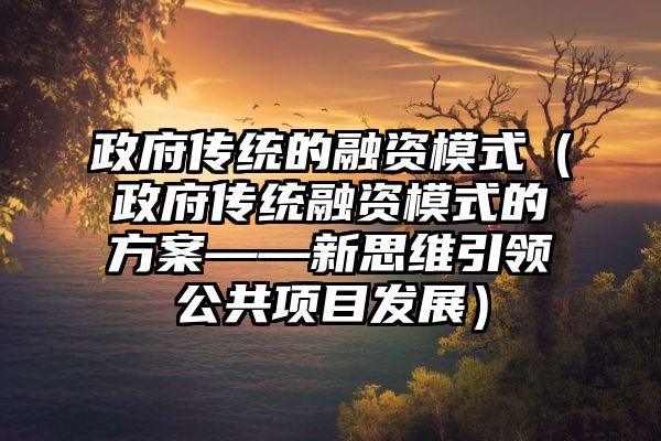 政府传统的融资模式（政府传统融资模式的方案——新思维引领公共项目发展）