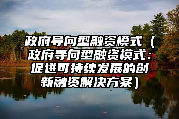 政府导向型融资模式（政府导向型融资模式：促进可持续发展的创新融资解决方案）