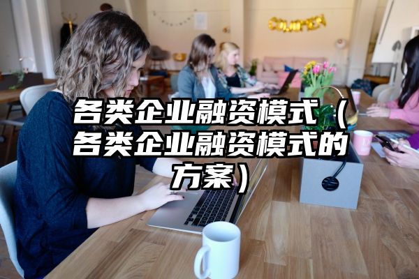 各类企业融资模式（各类企业融资模式的方案）