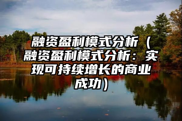 融资盈利模式分析（融资盈利模式分析：实现可持续增长的商业成功）