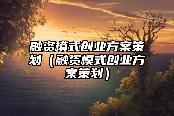 融资模式创业方案策划（融资模式创业方案策划）