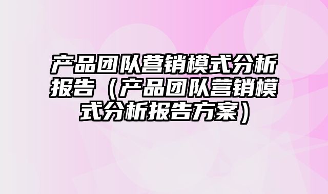 产品团队营销模式分析报告（产品团队营销模式分析报告方案）